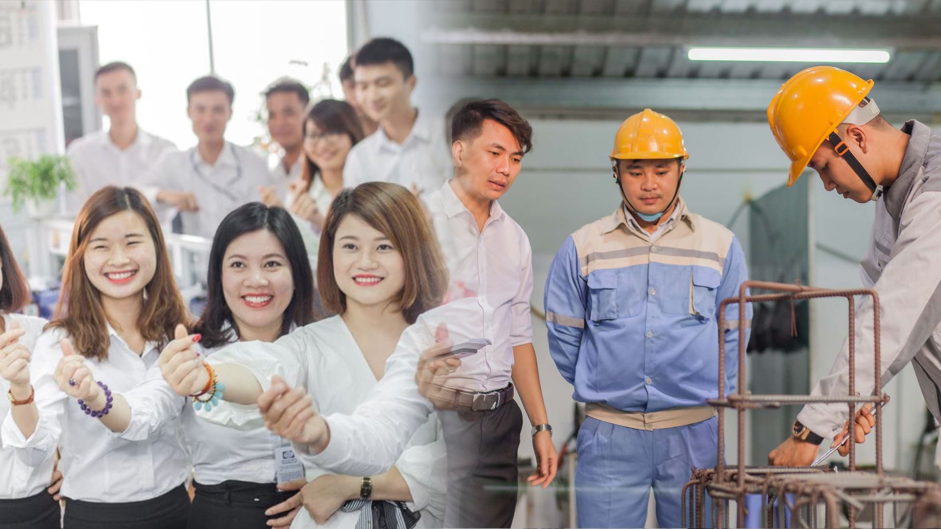 協同組合地域産業ネットワーク｜外国人技能実習制度